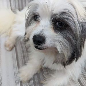 Meet your Posher, Vickie